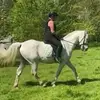 clarebackler