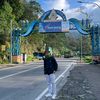 arya_saputra243