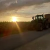 banana_bro2