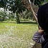 zahi_jihan