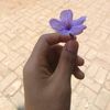 user098198054