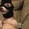 mllamanimbecil
