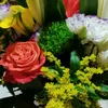 carmenjp892