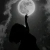 19_soos