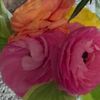 corinne.husch