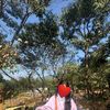 saina.rasaili