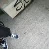 kevin_bardo07