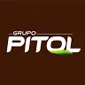 Grupo Pitol