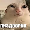 chif1r_1337