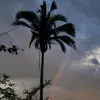 usumariaclara1