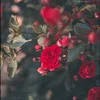 aprilxo7