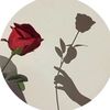 lama_8787