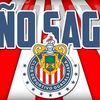anyirogelmorales