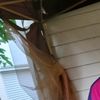 randomaccount2210