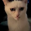 nickku046