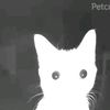 not_bobby_01