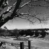 photoman_62