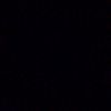 zarzare_
