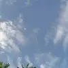 gfedcbaee