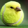 p00rzeczka