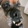 mister_spike.fr