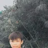 julquifflyhasim