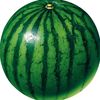 z1cob