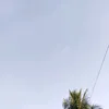 nnyy.a