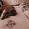 Оксана Александрова