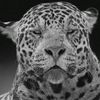 fhaad_3