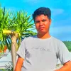 DARMIN