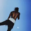 lyfestylewarrior