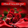 shazialal952