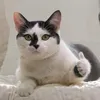 hiiieeeaa
