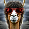 lorenzo_lhamas