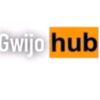 GwijoHub
