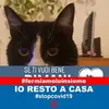 simonacolombo06