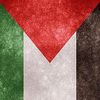 yassinibrahim75