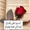 roh_mohamed