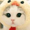 adya_tamaa