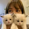 well.kitty
