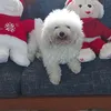 jecs510