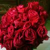 shanta.islam3595