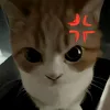 odaycoanime_isekai