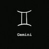 im.gemini.june