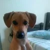 dri.barbosa1