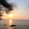 hoangcahoangca