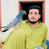 niazi4u2