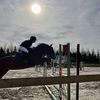 rose_equitation3