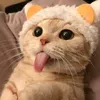 qtreubee